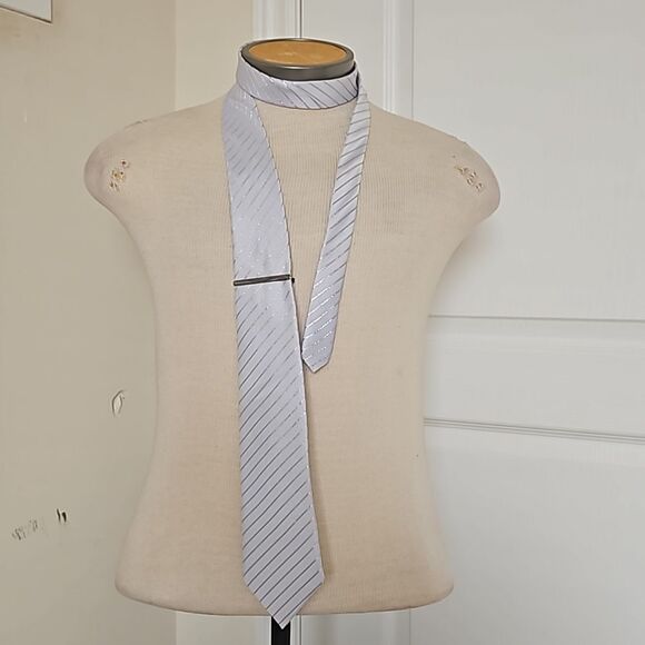 Vettorio Fratini Men's Sparkling Tie With Tie Pin White & Silver - Picture 1 of 16